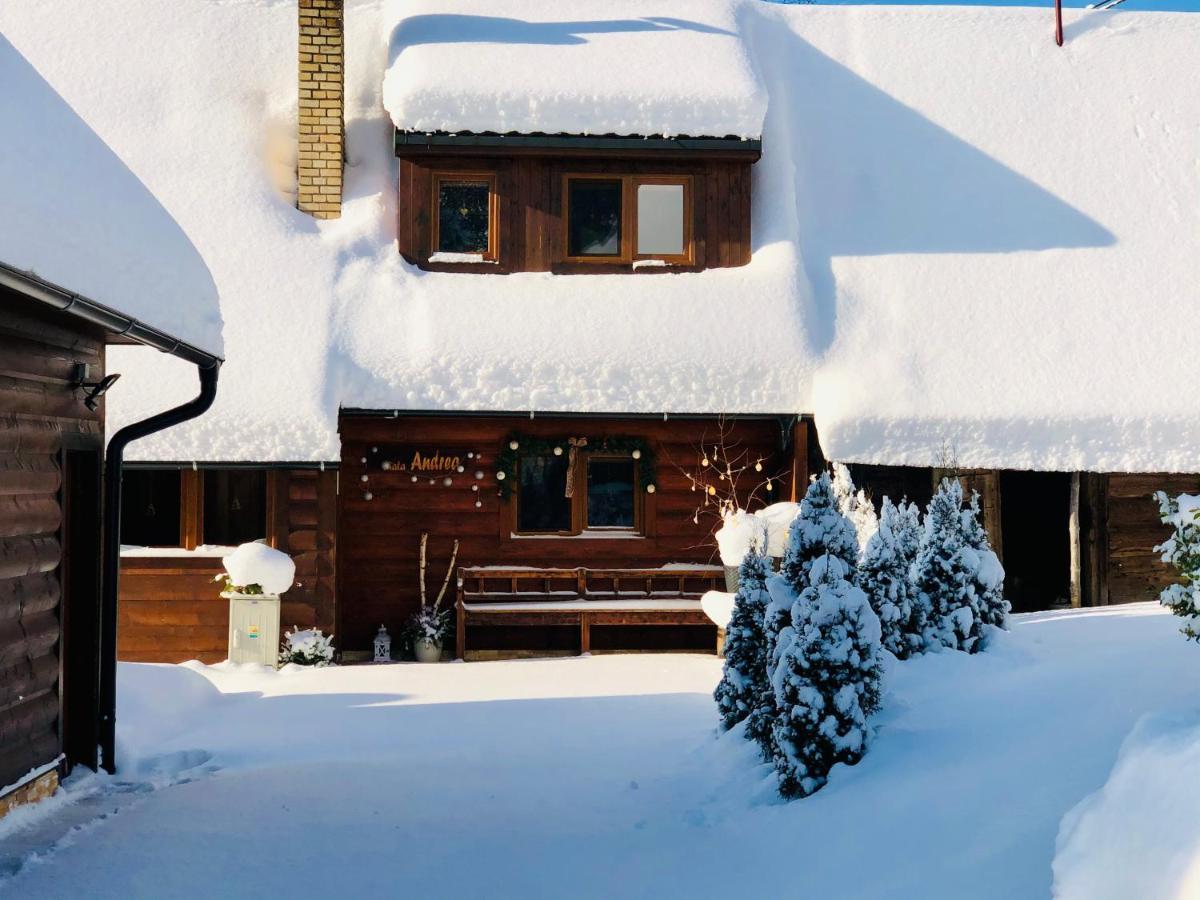 Andrea- Neakceptujeme Mlade Partie Villa Terchova Exterior photo